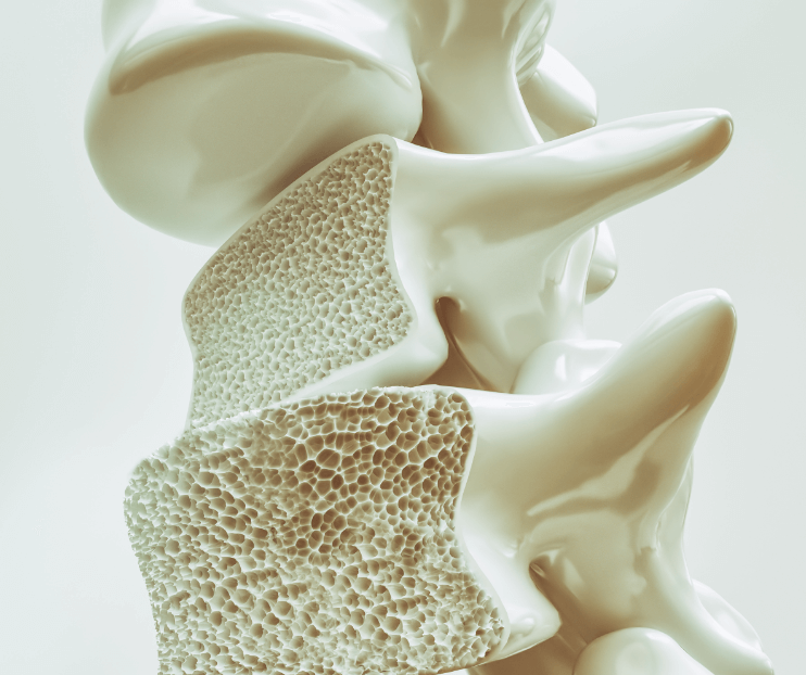 bone health spine