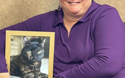 A Quick, Small Cat Bite & Five Days in the Hospital